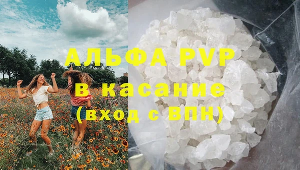 стафф Зеленокумск